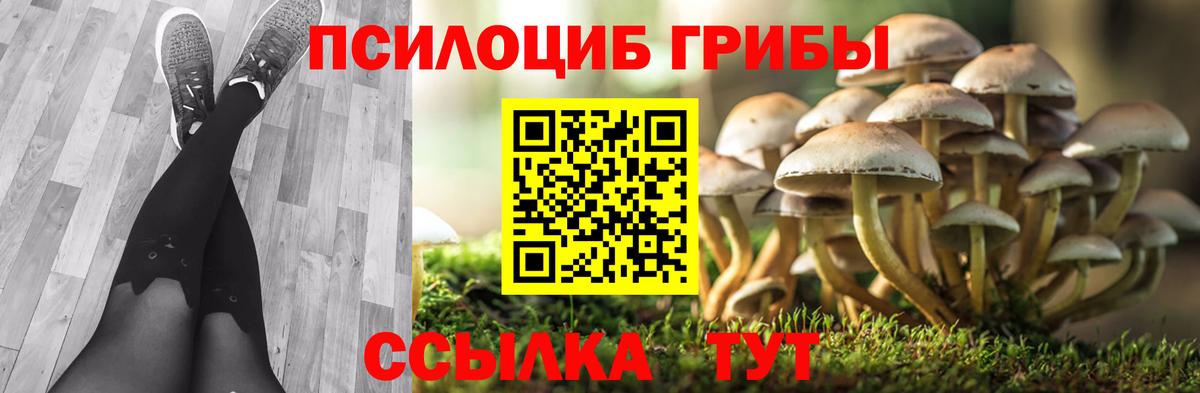 МЕФ Калач-на-Дону