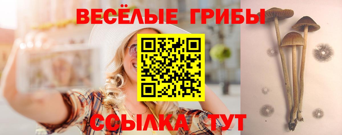 Калач-на-Дону  Псилоцибиновые грибы мухоморы  Вход с VPN  Псилоцибиновые грибы мицелий 